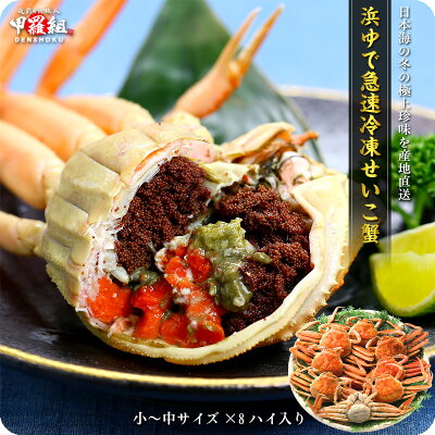 越前/松葉せいこ蟹(小サイズ×8尾入り/2-3人前)※足折れが混じる場合があります【せいこがに】【セイコガニ】【セコガニ】【香箱】【コッペ】