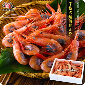 子持ち越前甘えび500g/約40尾入り食べ放題セール！送料無料2,999円！更に2個で700円OFF！3個で1,200円OFF！4個で2,000円OFFクーポンあり！【エビ】【えび】【海老】【あまえび】【アマエビ】【甘エビ】 母の日