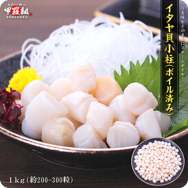 イタヤ貝小柱(ボイル済み) 1kg (解凍後800g/約200-300粒入) いたや貝 貝柱 刺身 中華