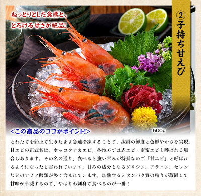 ニッポンを元気に!中身が分かる豪華海鮮福袋【全10品】送料無料5,000円ポッキリ!おうちごはん日本海さかな街贈り物父の日ギフト北陸福井県海鮮セットプレゼント物産展ふっこう福袋復興福袋