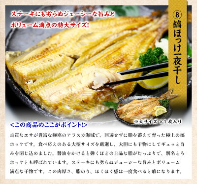 ニッポンを元気に!中身が分かる豪華海鮮福袋【全10品】送料無料5,000円ポッキリ!おうちごはん日本海さかな街贈り物父の日ギフト北陸福井県海鮮セットプレゼント物産展ふっこう福袋復興福袋