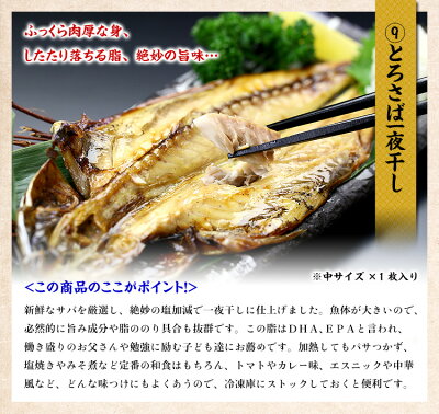 ニッポンを元気に!中身が分かる豪華海鮮福袋【全10品】送料無料5,000円ポッキリ!おうちごはん日本海さかな街贈り物父の日ギフト北陸福井県海鮮セットプレゼント物産展ふっこう福袋復興福袋