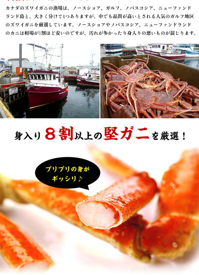 【緊急スポット入荷】送料無料9,999円!2個購入で300円OFFクーポンあり!格安販売のためお一人様2個まで!ボイルずわいがに姿3kg(4〜6ハイ入り/サイズ選択不可)※食べ方の説明書は同封できません。【カニ】【かに】【蟹】