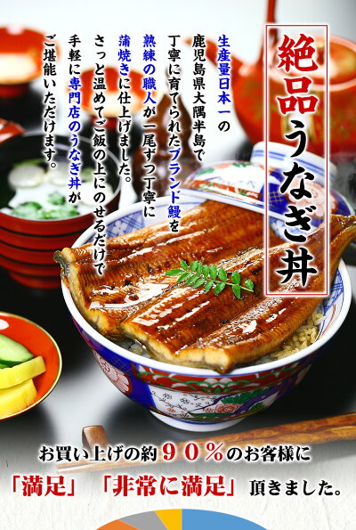 希少な超特大サイズ入荷!鹿児島ブランドうなぎ蒲焼き約270g前後×2尾入り※化粧箱、食べ方説明書、タレ&山椒付き【うなぎ】【ウナギ】【鰻】