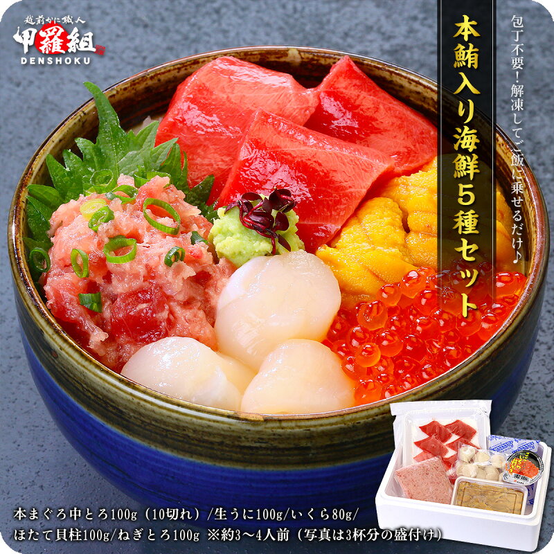 高級本まぐろ入り豪華海鮮5種セット