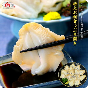 󏭂ȓTCYIIhgpԊLJ500gi2LTCY/10`20j ⓀHi