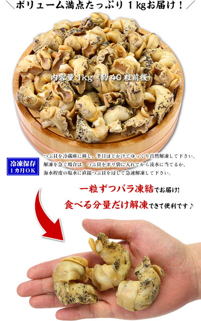 柔らかボイルつぶ貝1kg送料無料!【つぶがい】【ツブガイ】【つぶ貝】【ツブ貝】【粒貝】