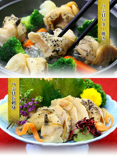 お刺身OK!【天然&無添加】柔らかボイルつぶ貝どっさり1kg(31〜40粒入り)送料無料【つぶがい】【ツブガイ】【つぶ貝】【ツブ貝】【粒貝】