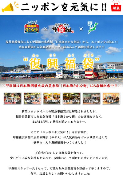 ニッポンを元気に!中身が分かる豪華海鮮福袋【全10品】送料無料5,000円ポッキリ!おうちごはん日本海さかな街贈り物父の日ギフト北陸福井県海鮮セットプレゼント物産展ふっこう福袋復興福袋