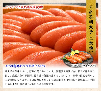 ニッポンを元気に!中身が分かる豪華海鮮福袋【全10品】送料無料5,000円ポッキリ!おうちごはん日本海さかな街贈り物父の日ギフト北陸福井県海鮮セットプレゼント物産展ふっこう福袋復興福袋