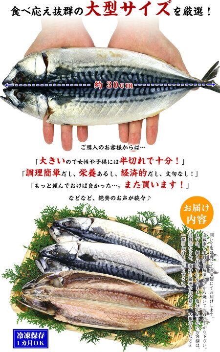 楽天市場 見切り品半額セールで送料無料1 190円 更に2個で300円offクーポンあり 国産さば一夜干し大型サイズ 3枚入り 鯖 さば サバ 干物 一夜干し 賞味期限11月21日 越前かに職人甲羅組 Denshoku