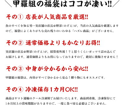 ニッポンを元気に!中身が分かる豪華海鮮福袋【全10品】送料無料5,000円ポッキリ!おうちごはん日本海さかな街贈り物父の日ギフト北陸福井県海鮮セットプレゼント物産展ふっこう福袋復興福袋