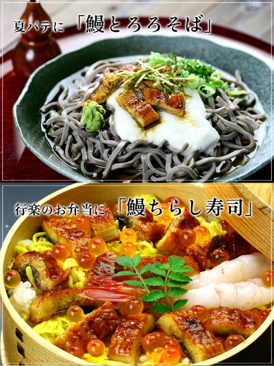 希少な超特大サイズ入荷!鹿児島ブランドうなぎ蒲焼き約270g前後×2尾入り※化粧箱、食べ方説明書、タレ&山椒付き【うなぎ】【ウナギ】【鰻】
