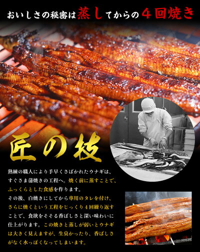 希少な超特大サイズ入荷!鹿児島ブランドうなぎ蒲焼き約270g前後×2尾入り※化粧箱、食べ方説明書、タレ&山椒付き【うなぎ】【ウナギ】【鰻】