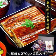 希少な超特大＆肉厚サイズを厳選！南九州のブランドうなぎ蒲焼き約270g前後×2尾入 タレ＆山椒付き 専用…