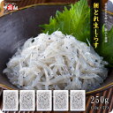 送料無料1,999円！愛媛県産 本場の朝どれ生しらす250g シラス 冷凍食品