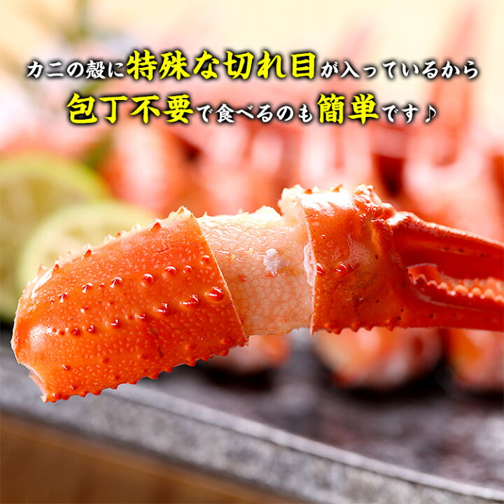 楽天市場】6/26/1:59まで☆半額クーポンで6,980円⇒送料無料3,490円 