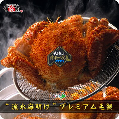 楽天商品画像