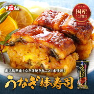 送料無料2,999円！更に2本で600円OFF！3本で1,200円OFF！4本で2,000円OFFクーポンあり！専門店の国産うな…
