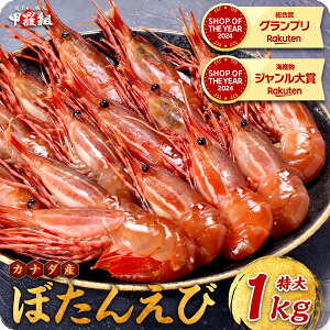 【カナダ産】天然ぼたんえび1kg(約15尾前後)