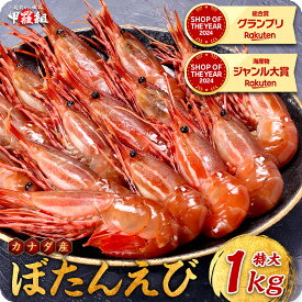 1/24/20時スタート★半額クーポンで17,980円⇒送料無料8,990円！めったにない希少な超特大サイズを厳選！【カナダ産】天然ぼたんえび1kg(約15尾前後) 牡丹海老 牡丹えび ボタンエビ スポットエビ 刺身