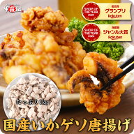 10/9/1:59まで★半額クーポンで5,980円⇒送料無料2,990円！【10/16以降発送】国産いかゲソ唐揚げ業務用た…
