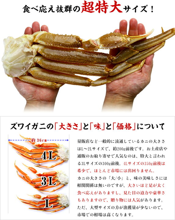 楽天市場】送料無料19,999円〜サイズが選べる!【業務用/産地箱