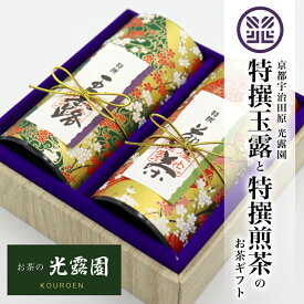 【今だけP10倍】お歳暮 お年賀 お茶ギフト 御供 お茶 プレゼント 特撰玉露と特撰煎茶のお茶ギフト （各100g和紙貼缶入）お祝い 御礼 入学 卒業 退職 京都 緑茶 誕生日 快気祝い 豪華 高級 お土産 寿 お茶ギフト お誕生日 内祝い【玉露と煎茶の2缶セットで1個となります】