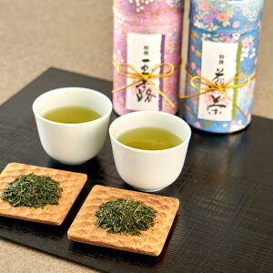 【10セットでお買い得】京都 ギフト お茶 緑茶 特撰玉露・煎茶ギフトセット(各100g和紙貼缶入セット×10)御供 プレゼント お誕生日 志 粗供養 満中陰志 快気祝い 華やか 高級 花柄 お土産 光