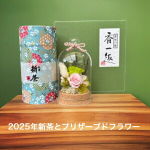 yz1130܂Łzj   vU[uh  s Mtg oVƃvU[uht[Mtg ԁ@a\ʓ F