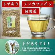 タラの木茶 500g 無農薬 徳島産 トゲあり タラの木 タラノキ茶 たらの木 健康茶 お茶の光露園/こうろえん
