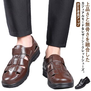 vC Y OJT_ h V[NbgV[Y {v  ʋC T_ ₷ b ɂ Ȃ JWAV[Y Y 8cmgȂ V[NbgC V[