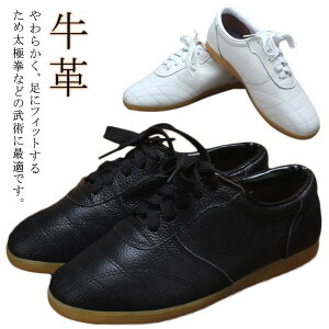 LbY Y fB[X jp Ɍ V[Y X|[cXj[J[ zCg EFA Ɍ V[Y C {v Jt