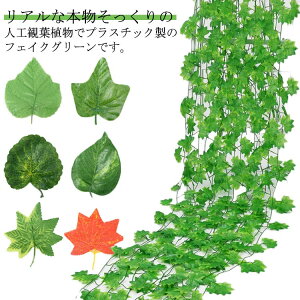  Bep CeA 12{Zbg ACr[ O[J[e ΂̃J[e ϗtA Ǌ| t ItBX z[ ډB x_ K[f  A p[eB[ p tFCNO