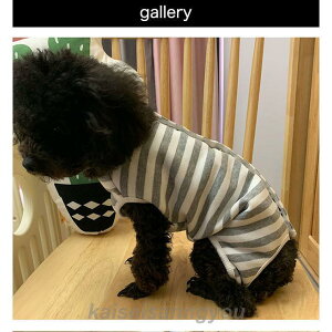  L p㕞 pEFA {[_[   r߂Ȃ ی ybgpi ybg GUxXJ[