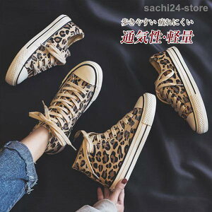 Xj[J[ fB[X tbg qE ^ LpX [Jbg nCJbg V[Y Ȃ JWA ʋC C  