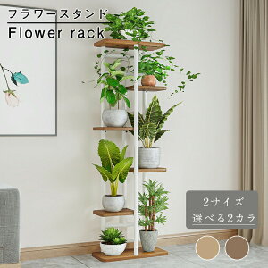 yԌFP5{+10%OFFzSGSF t[X^h ԑ  O  x_ X  u |bN K[fjObN v^[  |bg