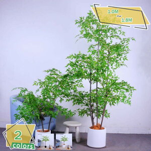 1000~OFFN[| lHϗtA ^ tFCNO[ ϗtA tFCNO[ ^ lHϗtA lH tFCNO[ tFCN^ ϗA gsJA K̖ tFCN