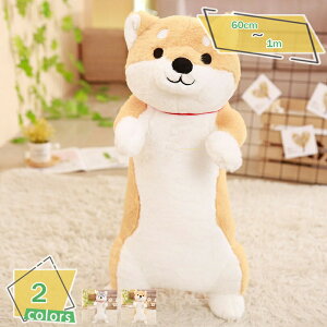 500~OFFN[| Č ʂ  Č A  ʂ X[p[ʂ ۂ CkNbV _炩 YQ  C @