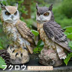 y10OFFN[| 20ztNE 悯 悯 ΍ A 킢  hhb΍ JX΍ h 悯ObY u  I[ig fBXvC K[fjO  x