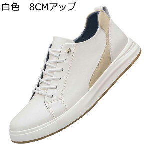 Xj[J[ JWAV[Y Y XP{[V[Y C V[NbgV[Y [XAbv Xb| ؍  ~ ʋC X|[c I[V[Y