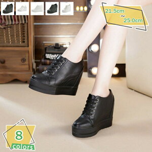 500~OFFN[| Xb| Xj[J[ fB[X EhgD RC Xj[J[ JWA ɂȂ ₷ 傫TCY TCY Cq[Xj[J[ Cq[Xb|