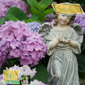 u IuWF  O K[fI[ig 킢  CeA XPb` GWF K[fjO    Vgu Vg̒̒u  Ƃ̏ 蕨 H|i M