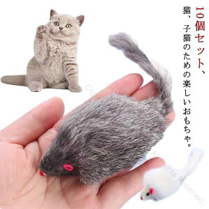 ʂ Lp 10 lY~ ETM̖ gp ނ Lpmߋ XgXU Lybg ^s 얞΍ F_ qLɂœK LV L炵 ybgp