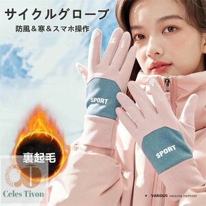 N g O[u fB[X ϋv yzTCNO[u X ]  p hh oR oCN ނ