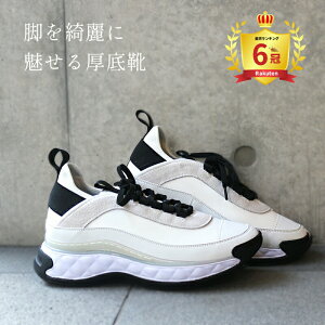 y|Cg3{ҌzyV1  Xj[J[ _bhXj[J[ fB[X   ubN zCg ؍  킢 l ₷ C V[Y lC EH[LO 傫TCY 