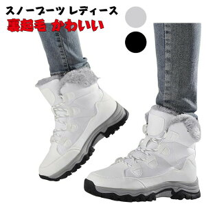 Xm[u[c fB[X 傫TCY kC h h Xm[V[Y  Ȃ hC ~C AEghA  y ʊw C 4e N 킢 oR g EB^[u[c 