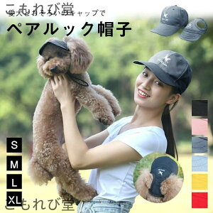 yzXq  Lbv n`O ̖Xq^ ^ eqXq  ƂR[f yAbN Ƃ낢̃Lbv