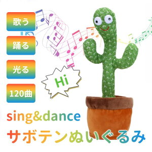 ʂ 3 2 j̎q T{e mߋ ̎q  Ԃ 1 NX}Xv[g xT{e