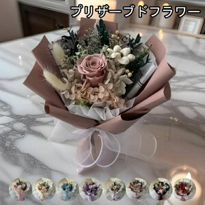 vU[uht[  o@ Ԃ w ̓ v[g Mtg ԑ u[P@蕨 wj u[P EFfBO   e ԑ ʉ uU[ht[ 